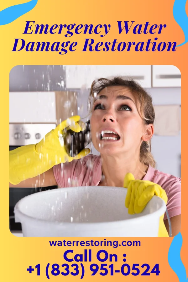 Emergency Water Damage Restoration in Frankford, DE