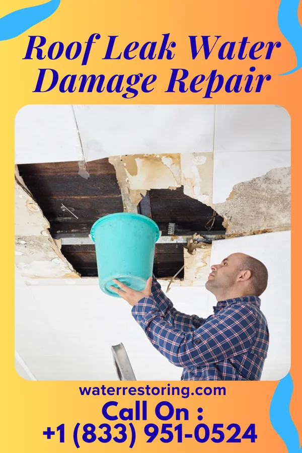 Roof Leak Water Damage Repair in Frankford, DE