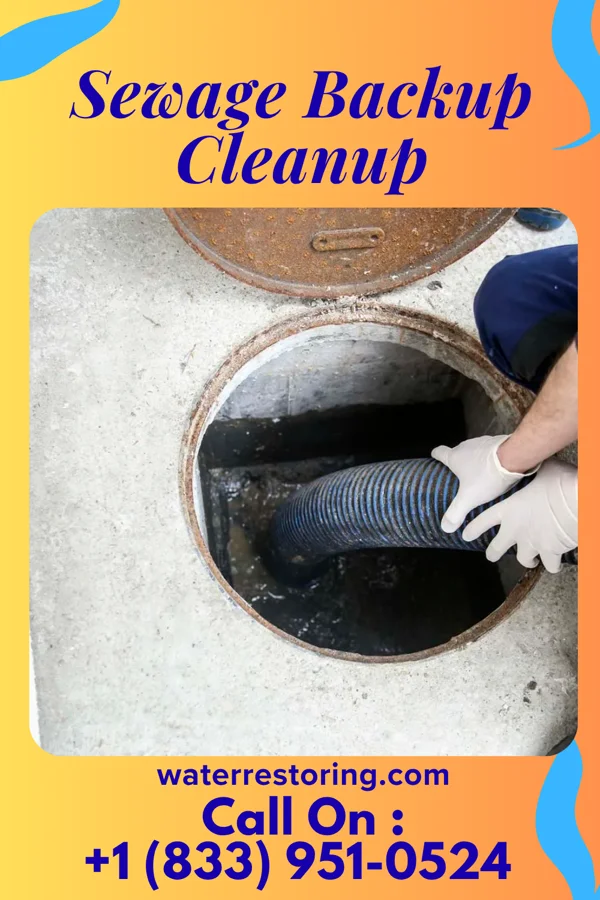 Sewage Backup Cleanup in Frankford, DE